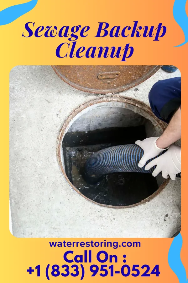 Sewage Backup Cleanup in Stones Landing, CA